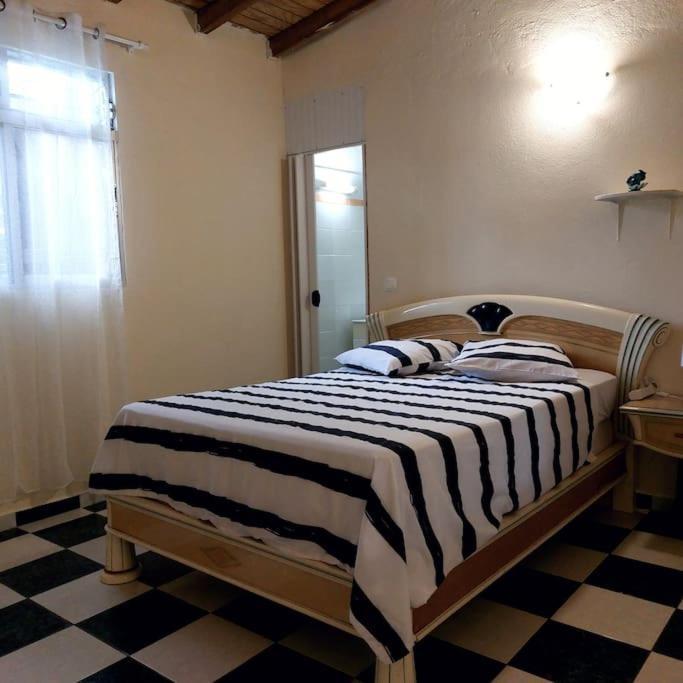 La Petite Maison, Spacieuse, Avec Jardin / Parking Sainte-Rose Zewnętrze zdjęcie