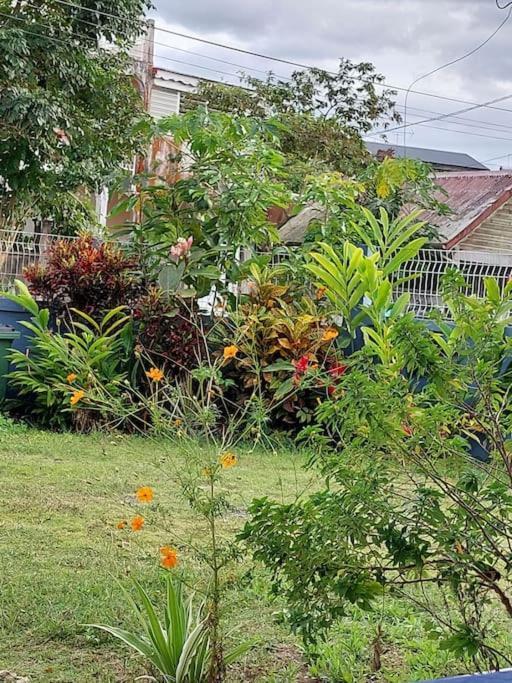 La Petite Maison, Spacieuse, Avec Jardin / Parking Sainte-Rose Zewnętrze zdjęcie
